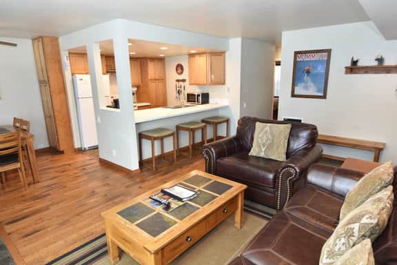 #173 Warm, welcoming, updated and beautiful mountain two bedroom-two bath condo - Image 3
