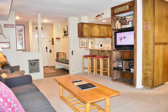 #179 A cozy and modern one bedroom, one bath unit. Steps from the free shuttle - Image 2